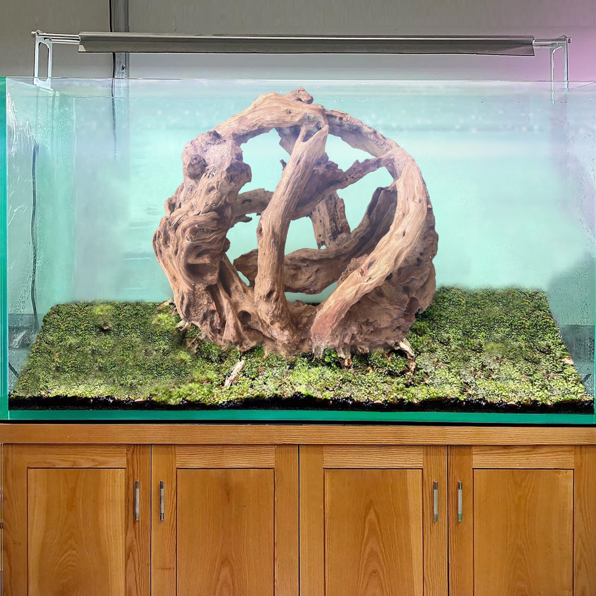 Natural Driftwood Tree Aquarium Decor Aquascape Landscape Plants Fish Tank  -  Ireland
