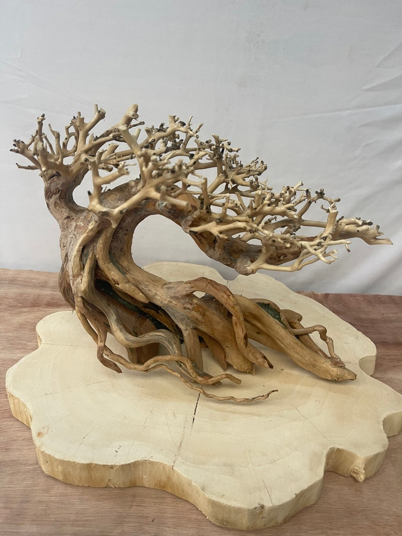 May include: A light brown driftwood bonsai tree with a curved trunk and many branches. The tree is sitting on a round, light brown wooden base.