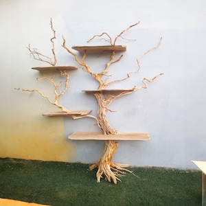 Driftwood branch tree bookshelf wall art solid wood bookcase floating shelves wood for home decor