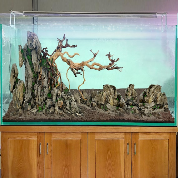 Aquarium Rocks Aquascape Driftwood Bonsai Fish Tank Decorations Terrarium  Rocks 