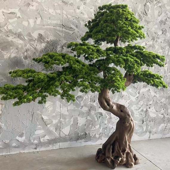 Albero bonsai in legno alla deriva grande pino finto albero bonsai