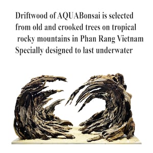 Aquascape aquarium driftwood large bonsai aquascaping decor hardscape fish tank plant image 2
