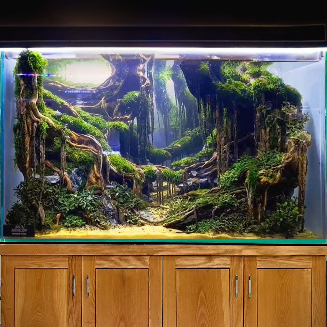 Aquarium Driftwood Extra Large Aquascape Wood Aquatic Bonsai Fish Tank ...