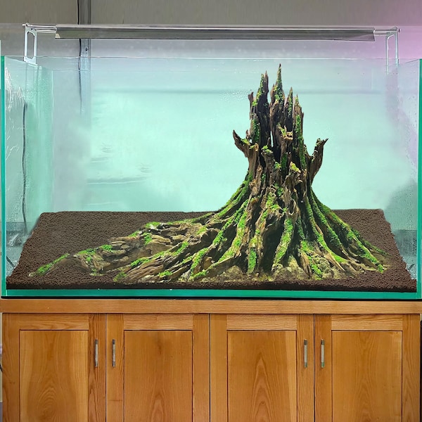 Grand aquarium bois flotté souche arbre aquascape bois flotté art aquarium grotte