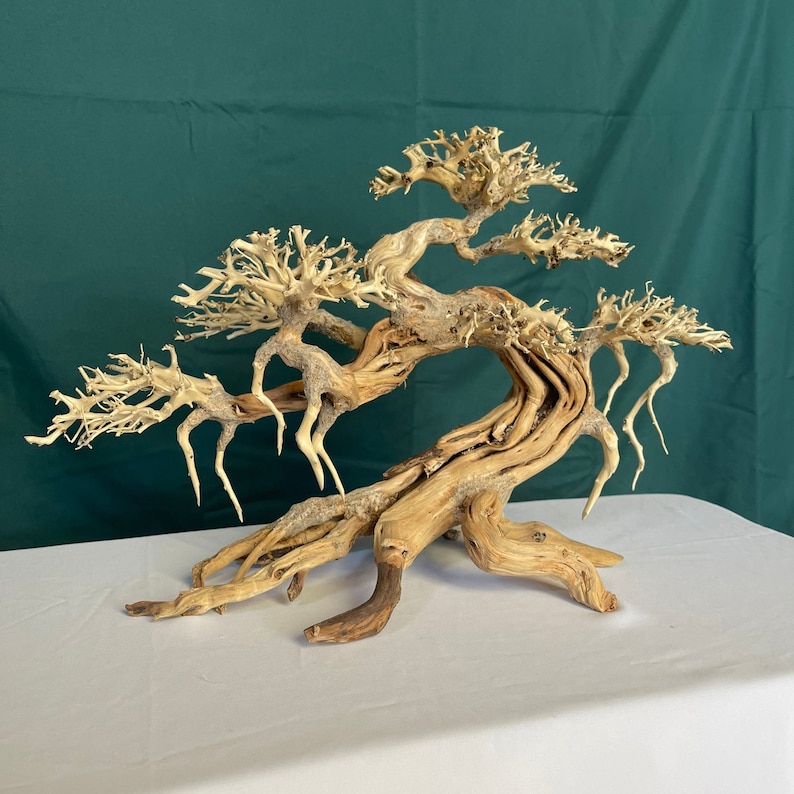 Peut inclure: Sculpture d'arbre bonsa&iuml; en bois naturel. La sculpture pr&eacute;sente un tronc et des branches torsad&eacute;s et d&eacute;taill&eacute;s avec un feuillage textur&eacute; et complexe. Le bois est de couleur brun clair, sur fond vert.