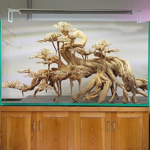 Könnte beinhalten: Ein großes Aquarium mit einer detaillierten, naturalistisch gestalteten Aquascape aus Treibholz. Das hellbraune Treibholz ähnelt einem Miniaturbaum mit vielen Ästen und kleinen, blattartigen Strukturen. Das Aquarium steht auf einem Holzschrank.