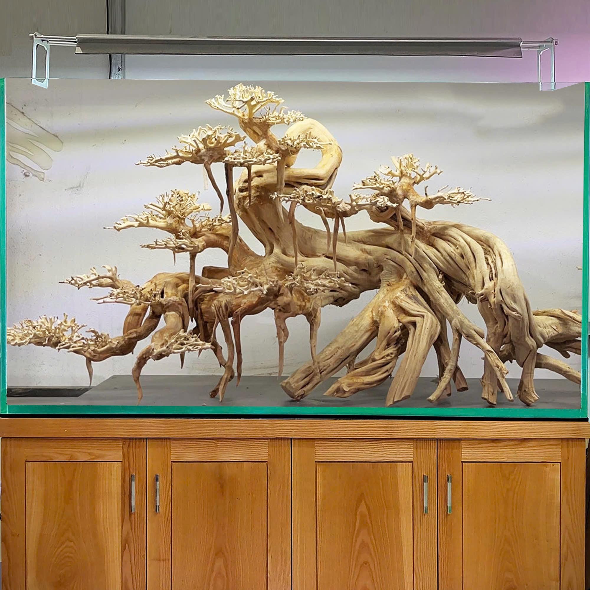 流木 インテリア約 170cm 木製台座付　driftwood interior Driftwood Aquarium Bonsai Large Aquascape Hardscape Tree Terrarium