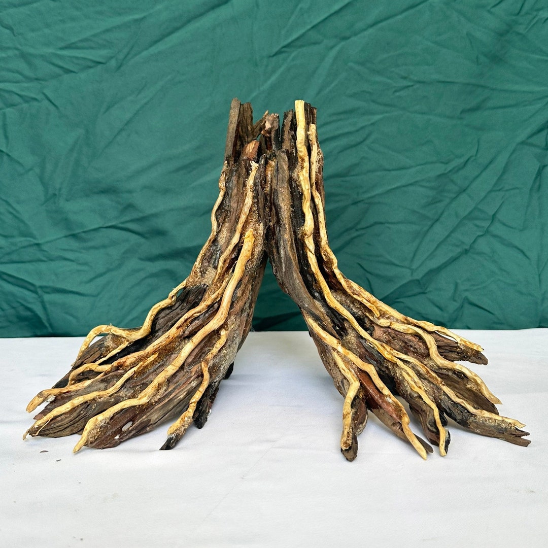Aquarium Tree Stump Driftwood Bonsai Aquascape Wood Fish Tank Decor Etsy