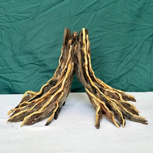Aquarium tree stump driftwood bonsai aquascape wood fish tank decor
