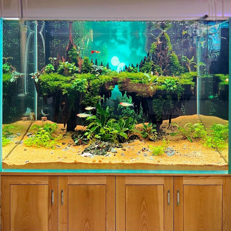 Aquarium Driftwood Decor Aquascape Rocks Bonsai Drift Wood Freshwater ...