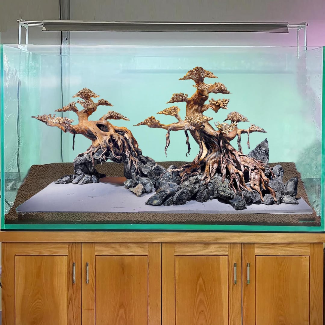 Driftwood Bonsai Tree Aquascape Hardscape Aquarium Rock Fish Tank