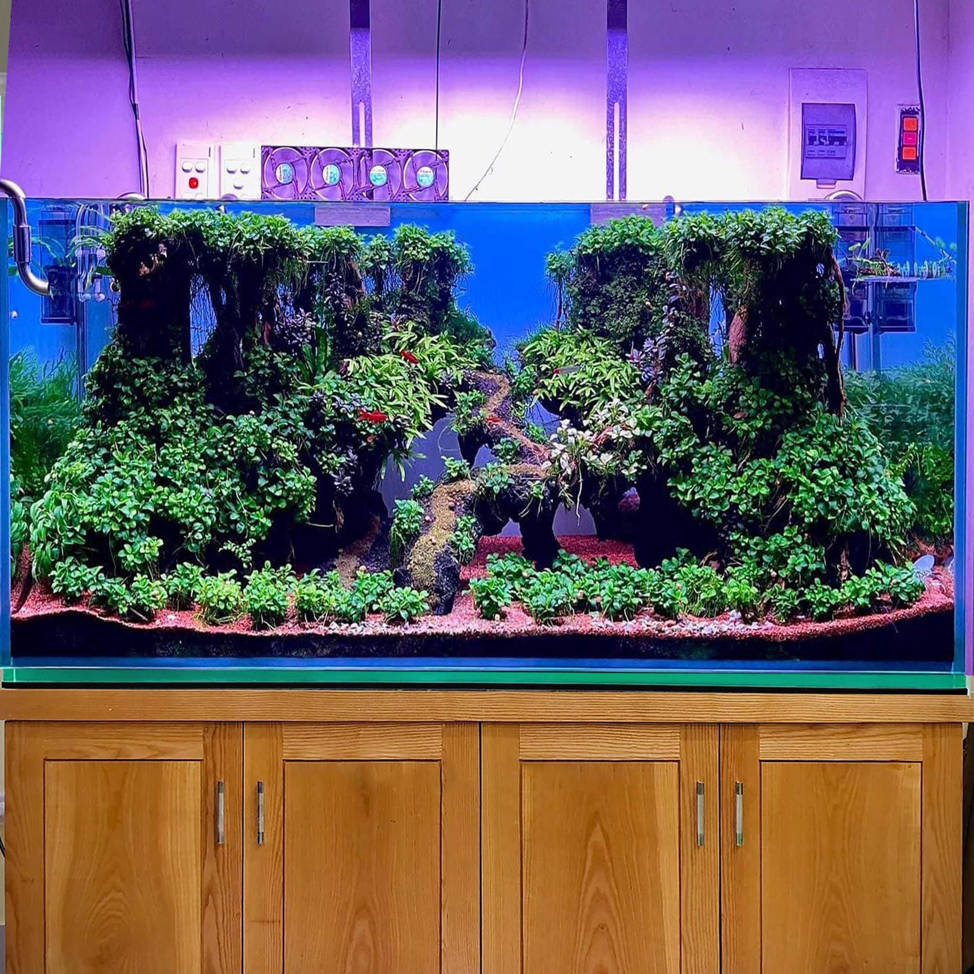 Aquarium Driftwood Bonsai Tree Hardscape Aquascape Drift Wood Fish Tank ...