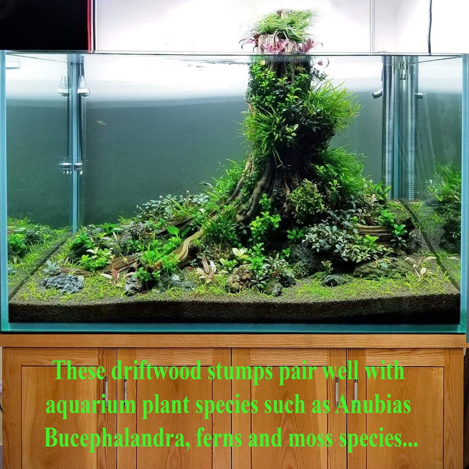 Aquarium Driftwood Stump Tree Aquascape Wood Bonsai Fish Tank Real ...
