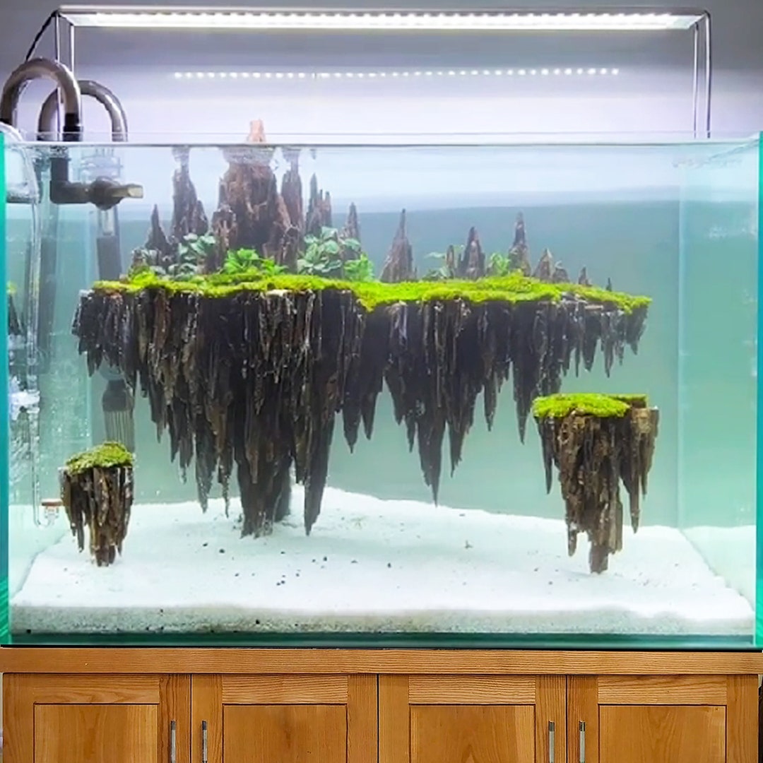 Aquascape Driftwood Aquarium Hardscape Bonsai Fish Tank Decoration - Etsy