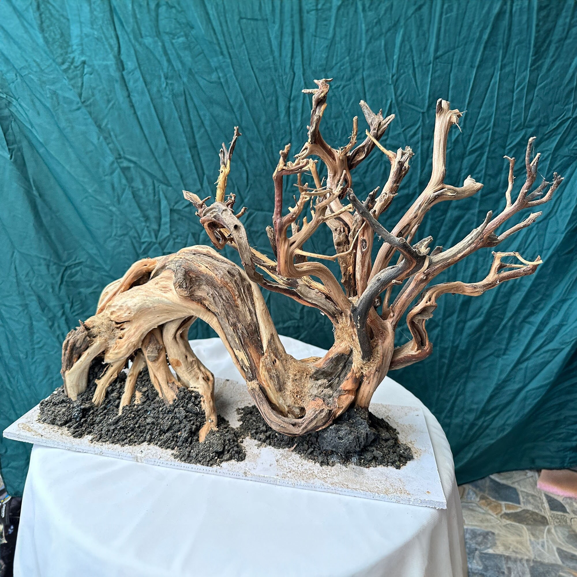 流木盆栽水槽岩水景ハードスケープ植物水槽装飾 - Etsy 日本