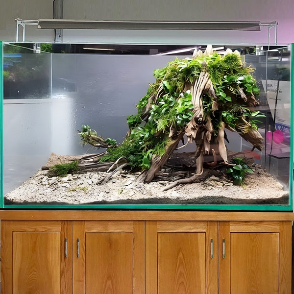 Aquascape de grotte de souche d'arbre d'aquarium en bois flotté avec décorations d'aquarium de plantes