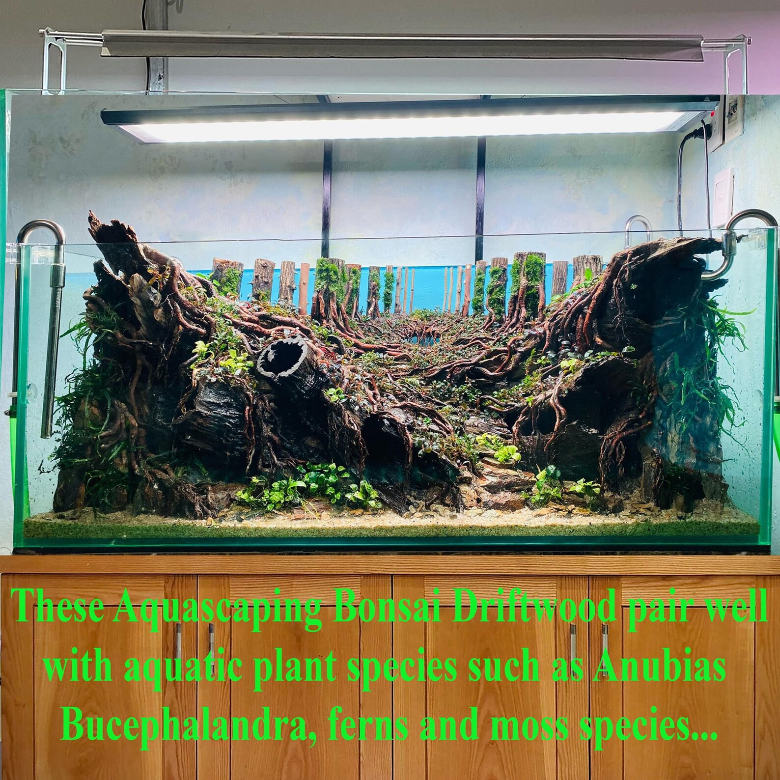 Driftwood Aquarium Wood Large Aquascaping Bonsai Fish Tank Etsy