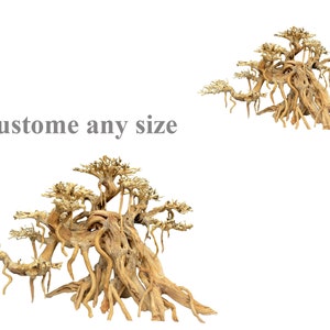 May include: Two driftwood bonsai trees with intricate root systems and branches. The trees are arranged in a natural, organic style. "Custome any size" text is visible in the image.