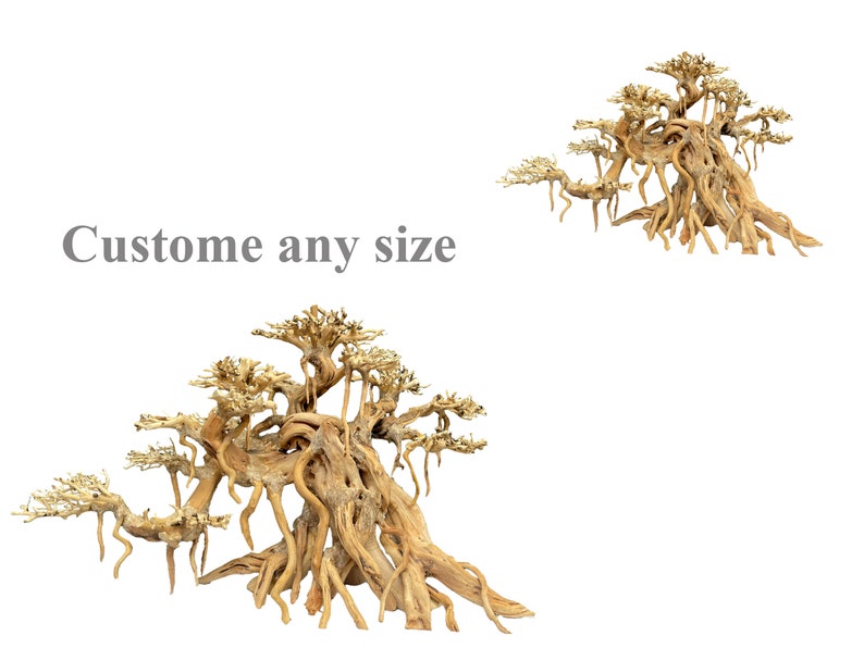 May include: Two driftwood bonsai trees with intricate root systems and branches. The trees are arranged in a natural, organic style. "Custome any size" text is visible in the image.