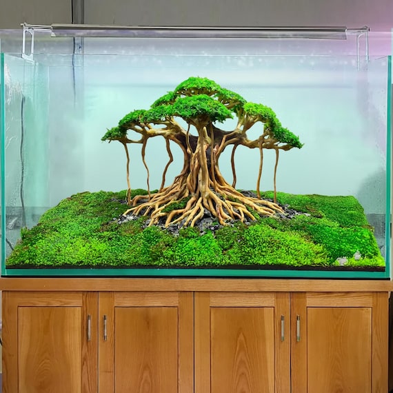 Handcrafted Driftwood Bonsai for Aquarium Natural Root Style Aquascape  Decoration - Etsy
