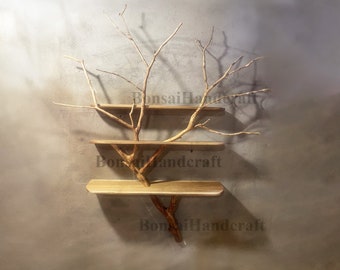 Tree branch floating bookshelf decor wall mount solid wood bookcase art handmade furnitural home decor