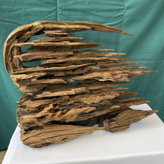 流木盆栽水槽アクアスケープ流木爬虫類水槽装飾男性へのギフト - Etsy 日本