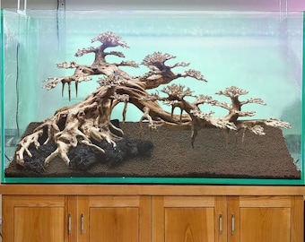 May include: A glass aquarium with a large, intricate driftwood bonsai tree arrangement. The tree is made of multiple branches and has a natural, weathered look. The aquarium is filled with a dark brown substrate and has a clear glass lid.