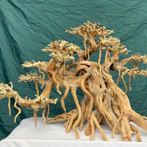 May include: A large, intricately branched, light brown driftwood piece with a natural, weathered texture. The driftwood is shaped like a bonsai tree with multiple branches and a thick trunk. It is perfect for use in aquariums, terrariums, or as a decorative piece.