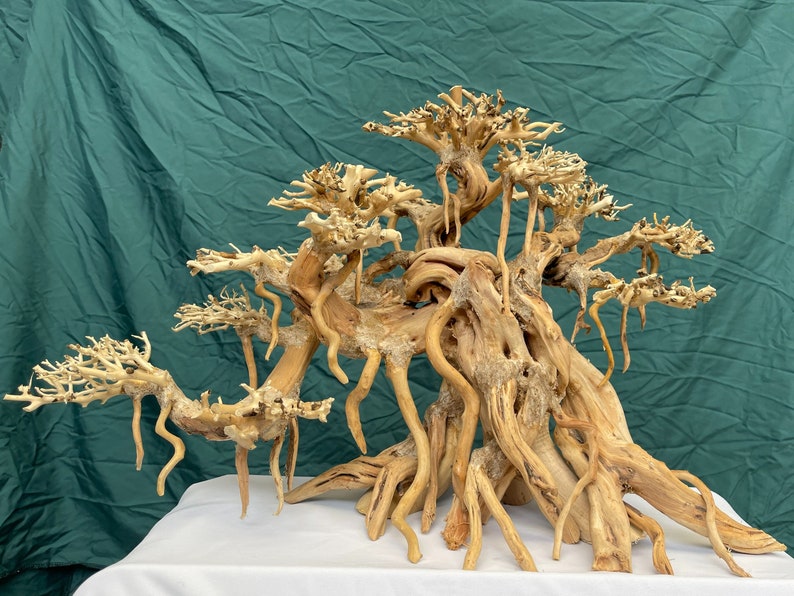 May include: A large, intricately branched, light brown driftwood piece with a natural, weathered texture. The driftwood is shaped like a bonsai tree with multiple branches and a thick trunk. It is perfect for use in aquariums, terrariums, or as a decorative piece.