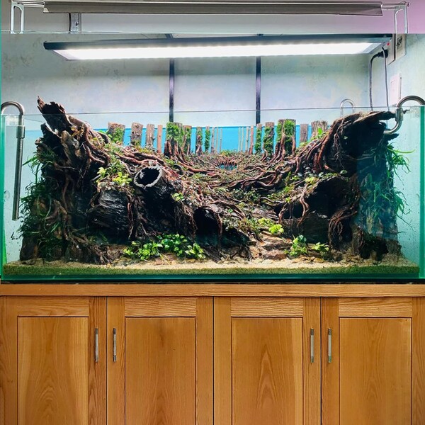 Shop Large Aquarium Cave Etsy