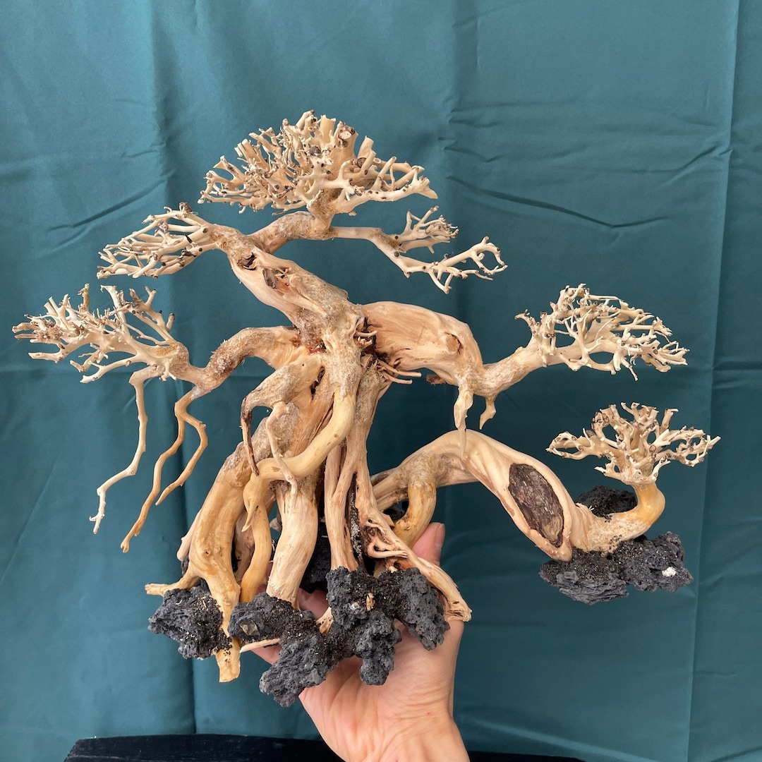 Aquarium Driftwood Large Bonsai Drift Wood Aquascape Rock for Fish Tank