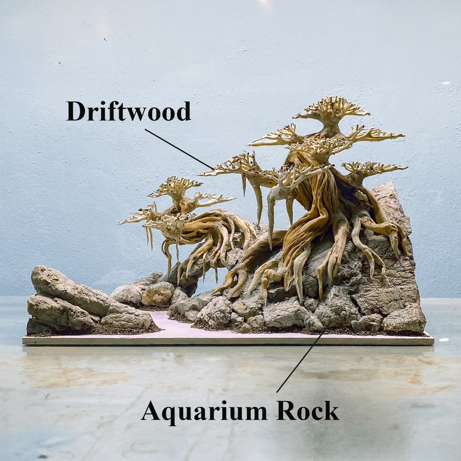 Bonsai Driftwood Tree Aquarium Drift Wood Aquascape Hardscape Decor ...