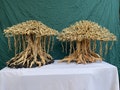 Mushroom drift wood bonsai tree aquarium wood aquascape driftwood fish tank plants product logo