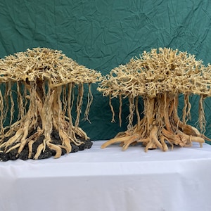 May include: Two decorative driftwood bonsai trees with intricate branches and roots. The trees are displayed on a white table against a green background.