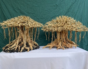 Mushroom drift wood bonsai tree aquarium wood aquascape driftwood fish tank plants