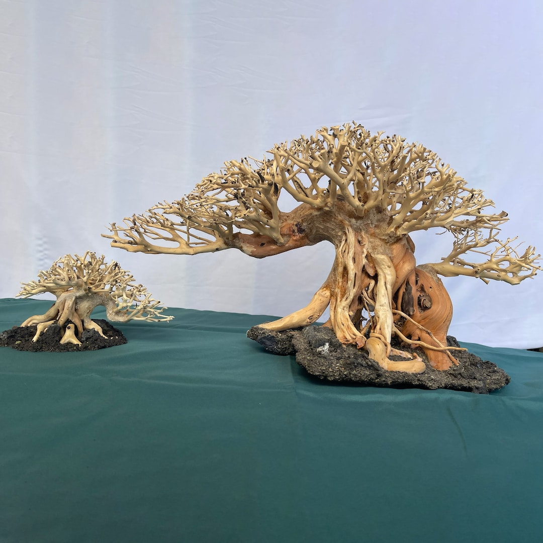 Bonsai Driftwood Aquarium Tree Aquascape Hardscape Real Drift Wood for