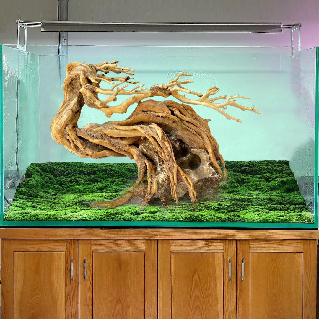 Fish Tank Bonsai Tree Aquarium Large Driftwood for Aquarium Decoration