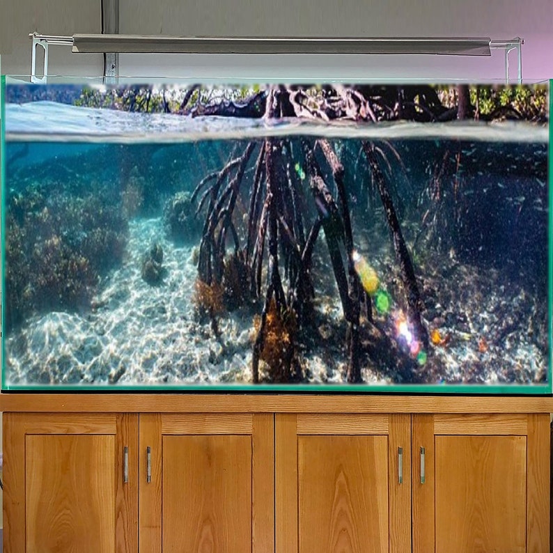 May include: A large aquarium tank with a wooden stand. The tank is filled with water and features a realistic underwater scene with mangrove roots and a sandy bottom. The tank is lit by a fluorescent light fixture.