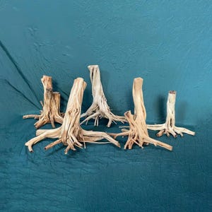 Driftwood stump aquarium decor artisan driftwood creations for fish tanks