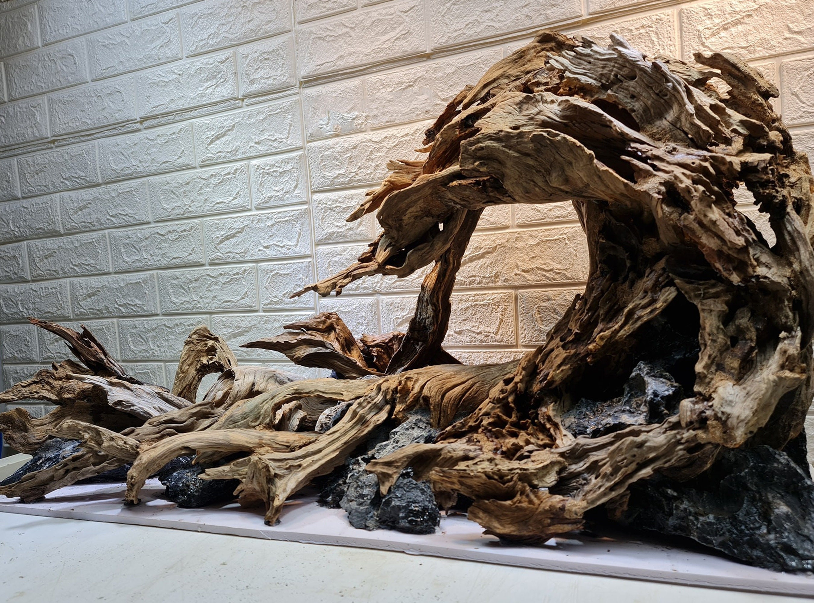 Aquascape Aquarium Driftwood Bonsai Aquascaping Plants Hardscape Fish ...