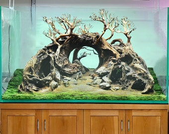 流木盆栽水槽アクアスケープ岩ハードスケープ洞窟水槽流木装飾 - Etsy 日本