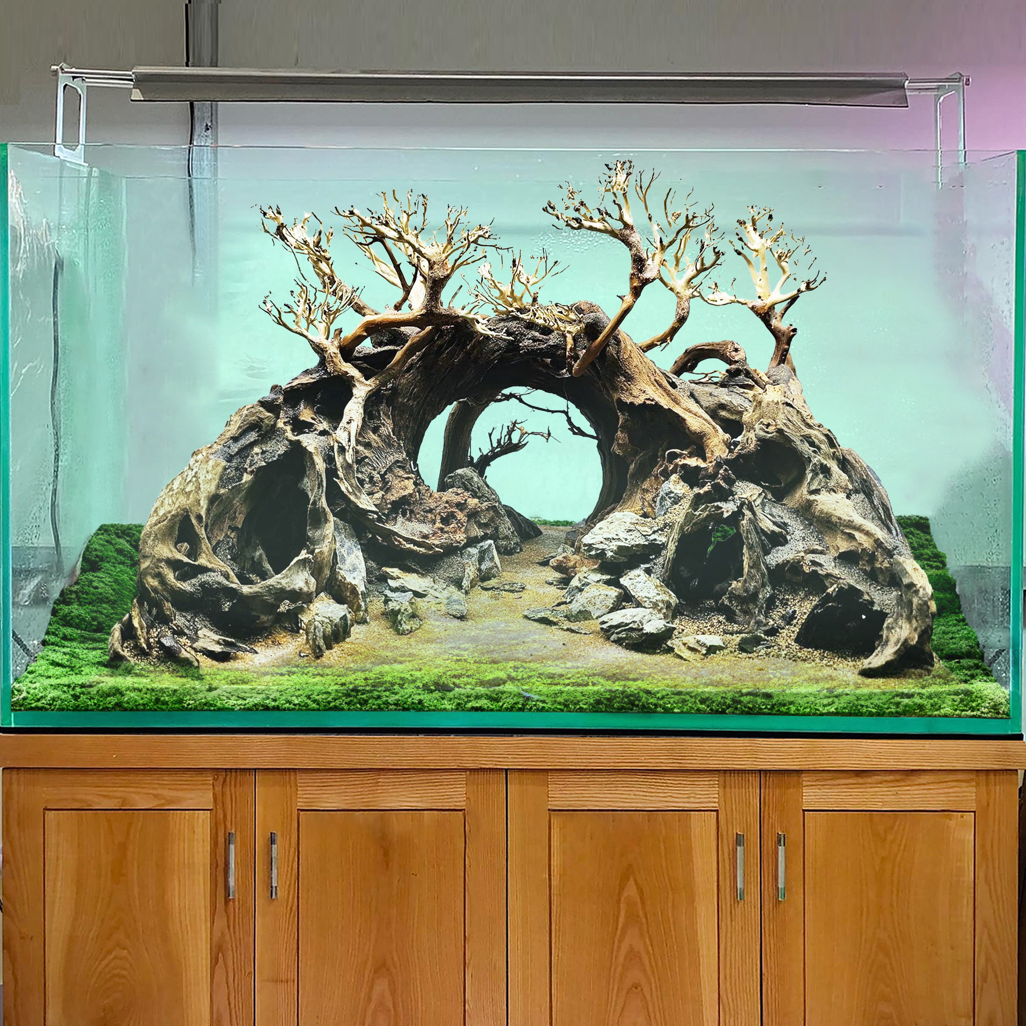 流木盆栽水槽アクアスケープ岩石ハードスケープ洞窟魚水槽流木装飾