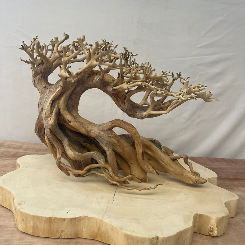 May include: A decorative driftwood bonsai tree with a natural brown color and intricate branches. The tree is displayed on a light brown wooden base.