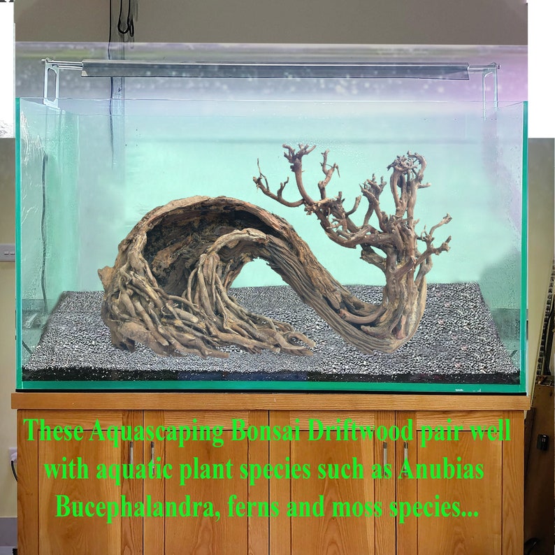 Aquarium driftwood extra large bonsai aquascape drift wood fish tank decor hide image 3