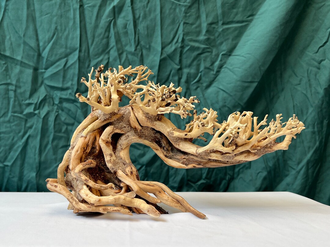 Drift Wood Bonsai Tree Aquarium Decoration Driftwood Stump Fish Tank ...