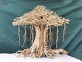 Aquarium bonsai driftwood fish tank decorations wood large aquascaping product logo