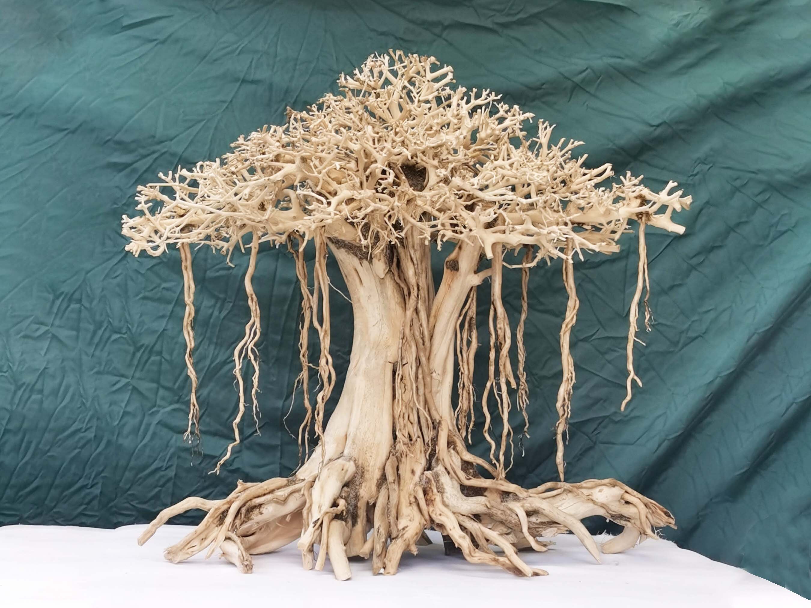 thumbnail image 2 of Bonsai Driftwood Aquarium Tree - 5 Inch Natural Handcrafted Fish Tank Decoration For Aquascaping 2 of 13