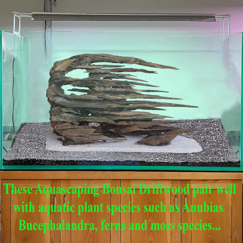 Aquarium Driftwood Centerpiece Bonsai Drift Wood Aquascape Etsy