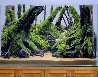 Aquascape driftwood aquarium centerpiece drift wood bonsai tree fish tank decor