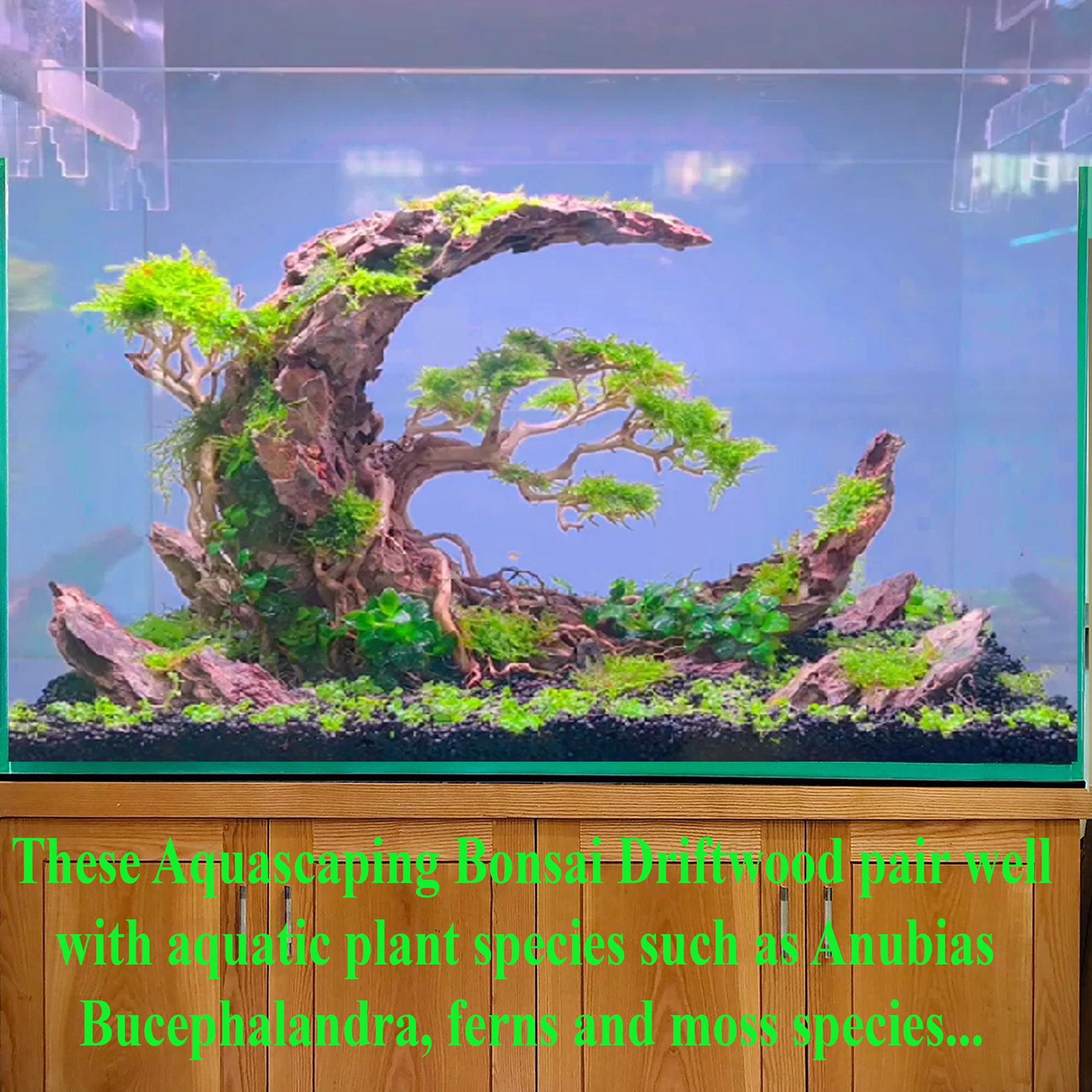 Aquarium Rock Dragon Stone Bonsai Aquascape Driftwood Fish Tank Decor ...